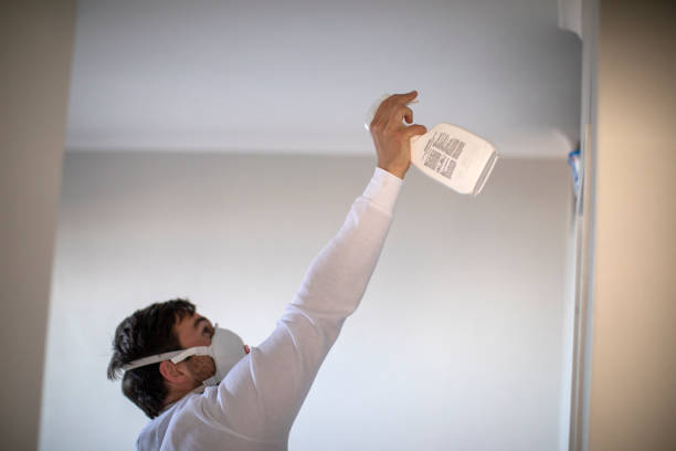 Best Crawl Space Mold Removal  in Nocatee, FL