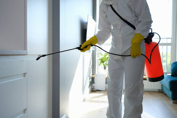 Best Residential Mold Removal  in Nocatee, FL